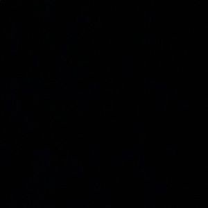 Meet your Posher, Madeline